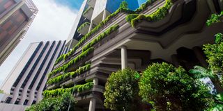 Green building 