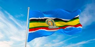 The East Africa Community flag.