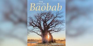 African Baobab
