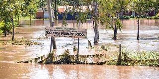 Floods Schools