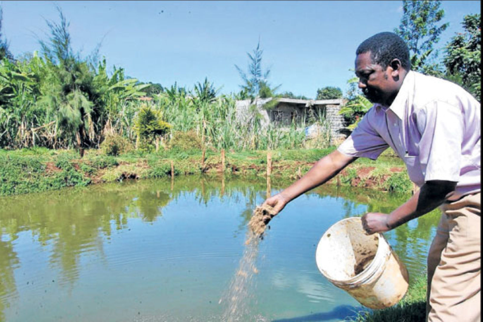 This is how to start farming fish on a small-scale