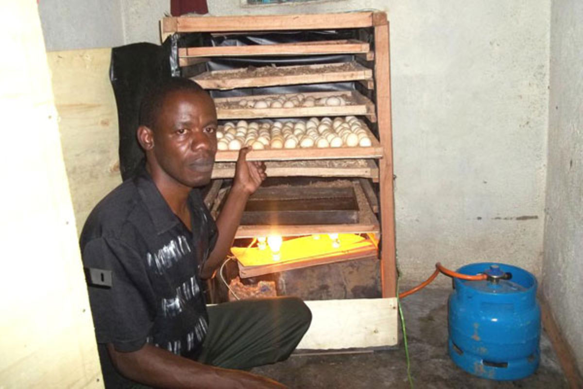 where to buy kerosene locally