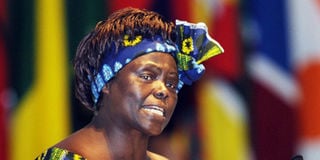 Wangari Mathaai