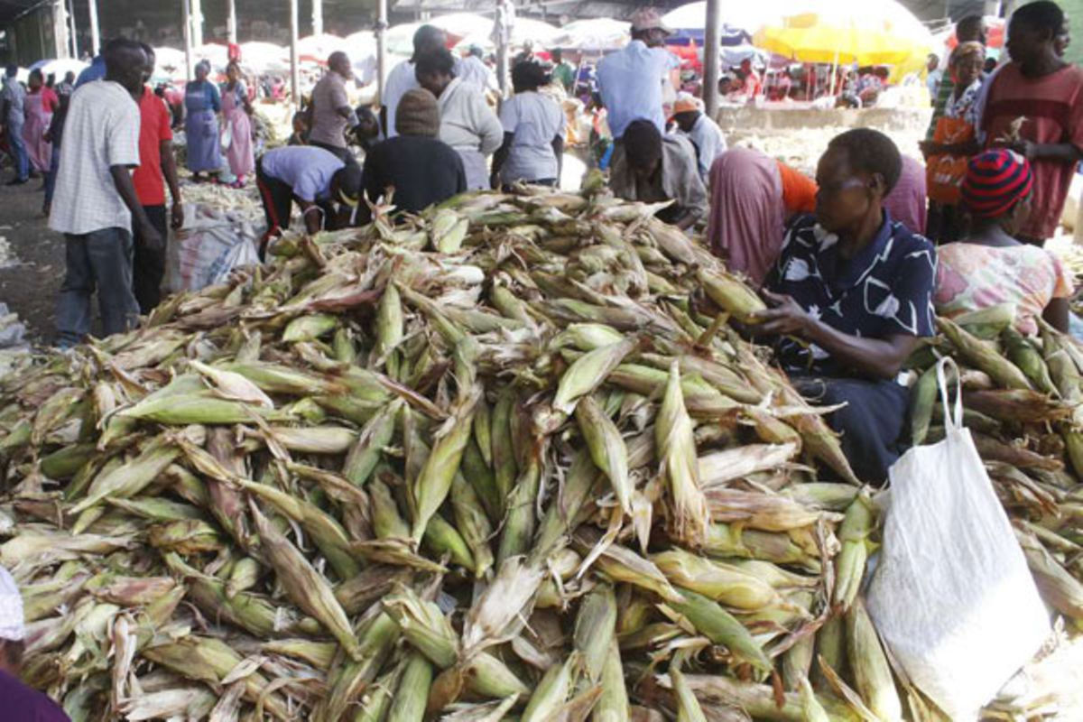 Nakuru puts in place stringent waste management measures | Nation