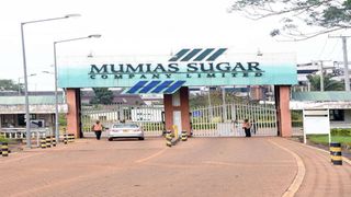 Mumias Sugar Company
