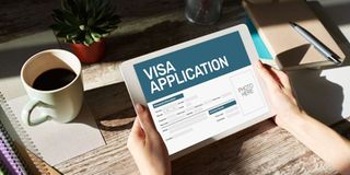 Visa services 