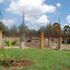 Stalled project at Egerton University