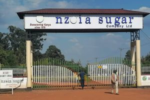 Nzoia Sugar Company 