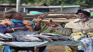 Fish sellers