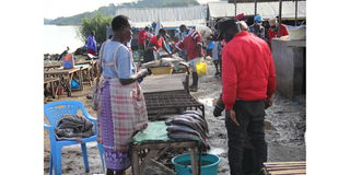 Fish sellers