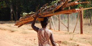 Woman carrying firewood