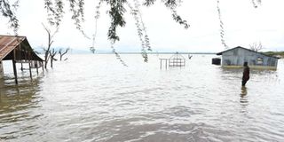 Flooded Lake Baringo 