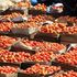 Tomatoes on sale