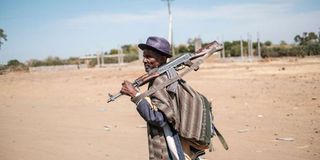 A member of the Amhara militia 