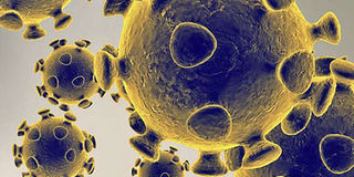 Coronavirus illustration image