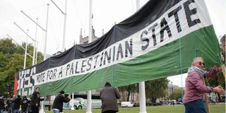 Pro-Palestinian supporters