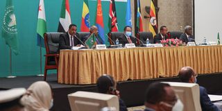 Igad summit in Djibouti