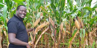 Tanzania crop expert