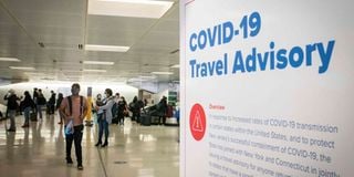US Covid travel ban