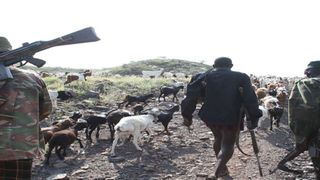 Armed herdsmen 