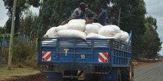 A truck ferries maize on the Soy-Kiplombe-Eldoret road in April 2019.