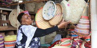 WEF introduces flexible lending model allowing women to borrow for individual projects under their groups’ umbrella