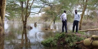 Flood waters at Lake Nakuru National Park.