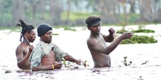 Fishermen in Lake Naivasha