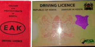 driver's licence