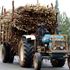 A tractor transporting sugarcane
