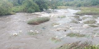 River Nyamindi in Kirinyaga