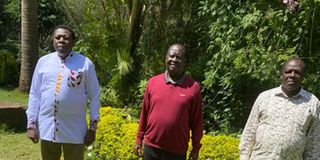  Eugene Wamalwa, Raila Odinga, Wycliffe Oparanya