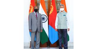 India and Eritrea external affairs ministers