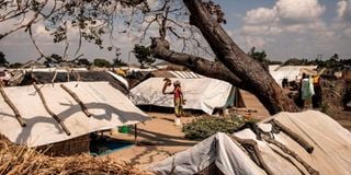 Mozambique IDPs