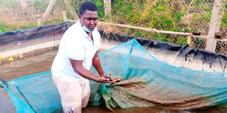 Isiolo fish farming 