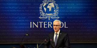 Interpol Secretary-General Jurgen Stock