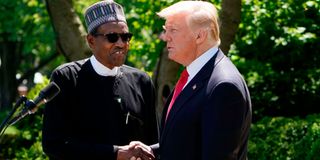 Former US President Donald Trump and Nigeria's President Muhammadu Buhari 