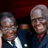 Robert Mugabe, Kenneth Kaunda