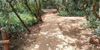 Matembezi trail 