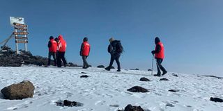 Kiligrit Hikers Mt Kilimanjaro