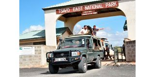 Tsavo National Park 