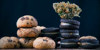 Marijuana cookies.