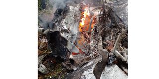 Naivasha plane crash