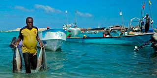 Somalia fishermen