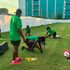 Members of the national women’s rugby team train in Tokyo under strength and conditioning coach Samuel Kimotho