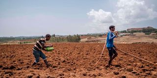 Farmers in Amhara
