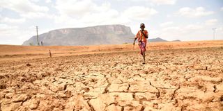 Samburu drought