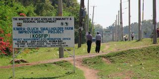 Kimira Oluch Smallholder Farm Improvement Project (Kosfip) office Homa Bay 