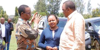 Uhuru Kenyatta, Karanja Kibicho, Anne Waiguru
