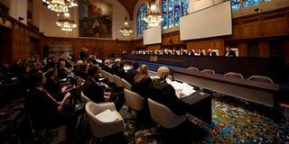 International Court of Justice icj